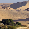 sdg sdg